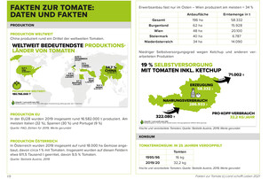 Factsheet Tomate | © Land schafft Leben