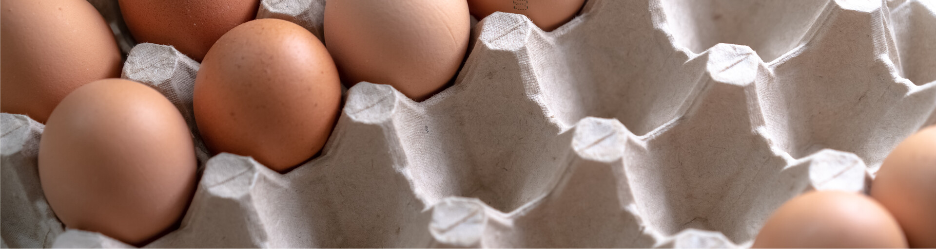 Vogelgrippe: Eiermarkt angespannt aber stabil | © Land schafft Leben