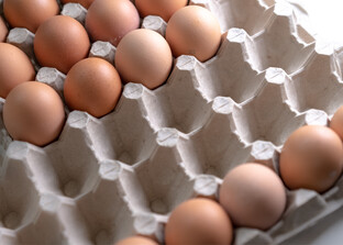 Vogelgrippe: Eiermarkt angespannt aber stabil | © Land schafft Leben