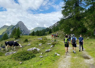 Menschen wandern auf der Alm neben Kuh | © Land schafft Leben