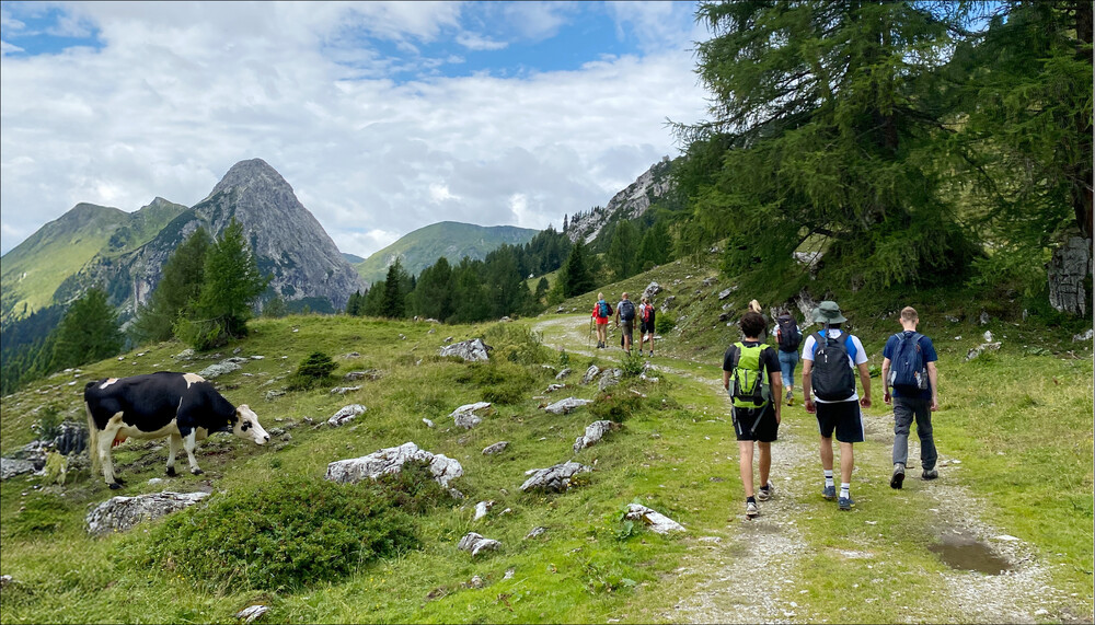 Menschen wandern auf der Alm neben Kuh | © Land schafft Leben