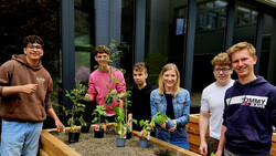 Gemüsepflanzen ins Hochbeet pflanzen | © HTL Zeltweg