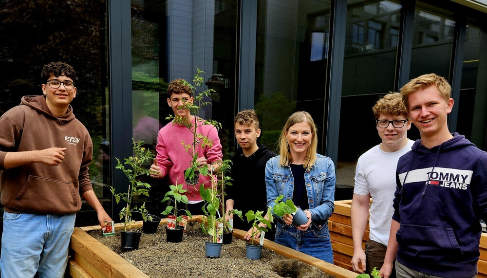 Gemüsepflanzen ins Hochbeet pflanzen | © HTL Zeltweg