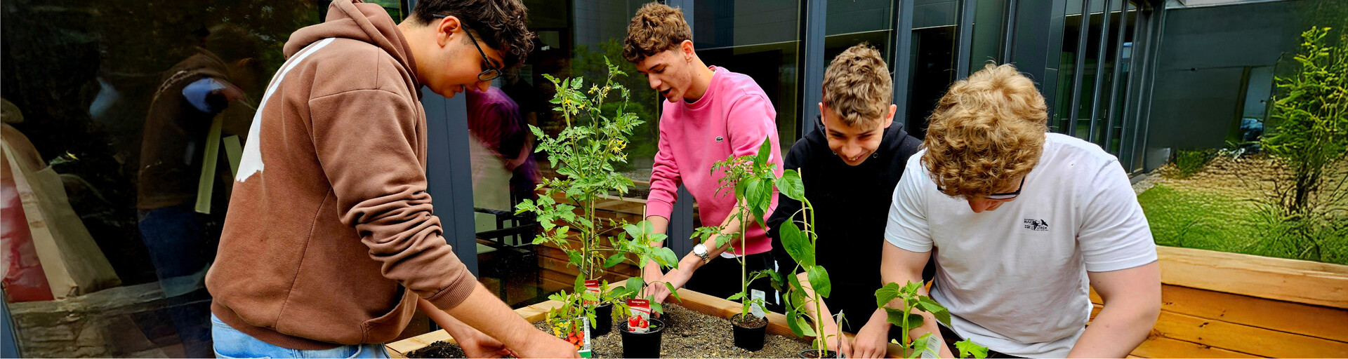 Gemüsepflanzen ins Hochbeet pflanzen | © HTL-Zeltweg