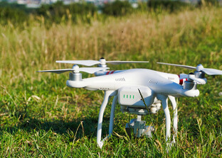 Drohne im grünen Gras | © Pixabay