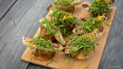 Karpfen-Bosna von Andreas Herbst | © Anna Stoecher