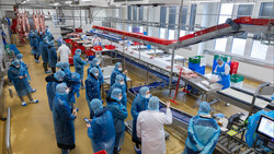 Laufband bei Fleischwaren Höllerschmid | © Anna Stoecher