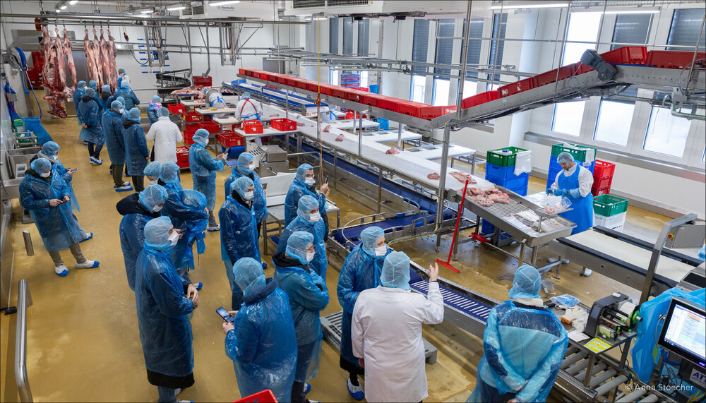 Laufband bei Fleischwaren Höllerschmid | © Anna Stoecher