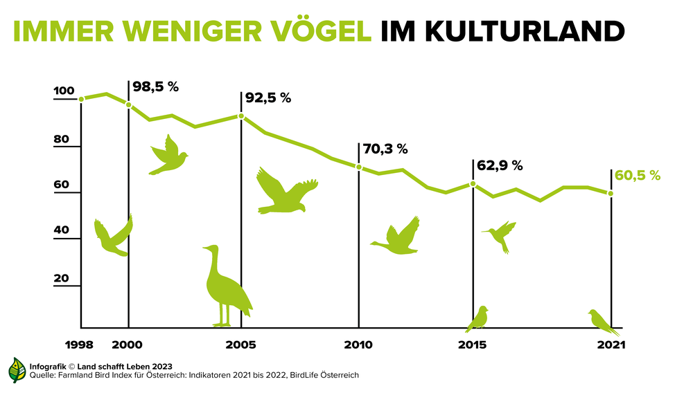 Infografik zum Schwund der der Vögel aus dem Kulturland | © Land schafft Leben