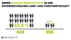 Infografik zur Abnahme der in Österreich in Land- und Forstwirtschaft Beschäftigten seit 1950 | © Land schafft Leben