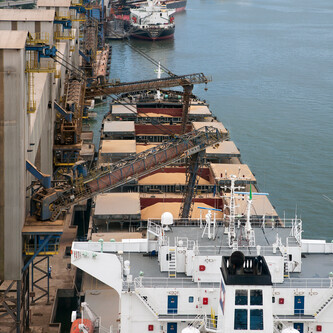 Schiffshafen mit zwei Kränen und einigen Schiffen | © Greenpeace / Werner Rudhart