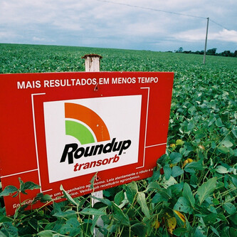 "Roundup"-Schild in grünem Feld | © Greenpeace / Rodrigo Baléia