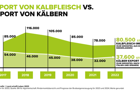 Infografik Kälbertransporte | © Land schafft Leben