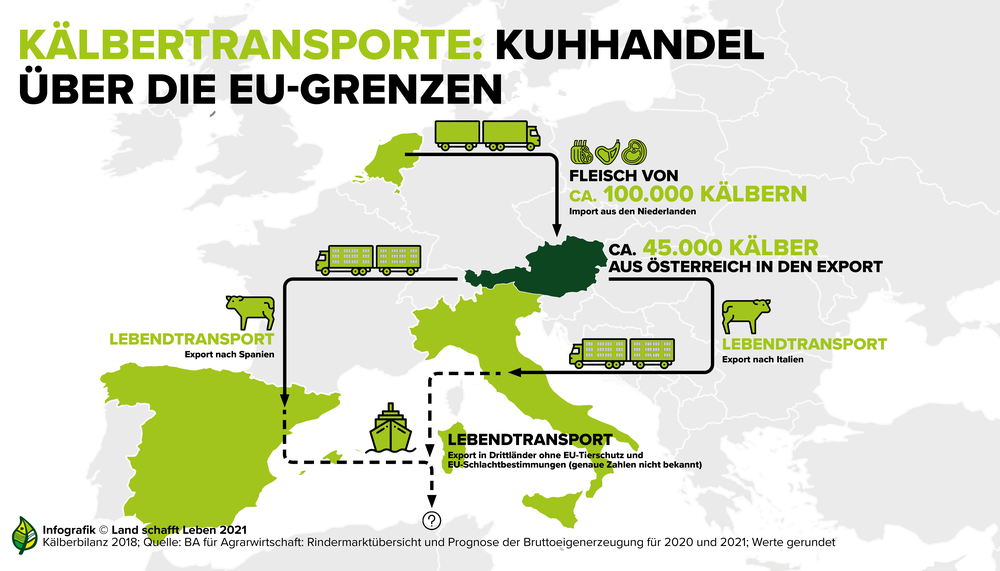 Kälbertransporte über EU-Grenzen hinweg | © Land schafft Leben, 2020