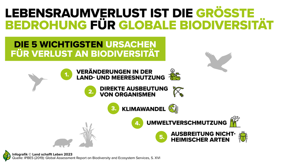 Lebensraumverlust Infografik | © Land schafft Leben