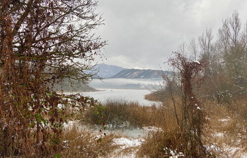 Moor im Winter | © Timo Küntzle, Land schafft Leben