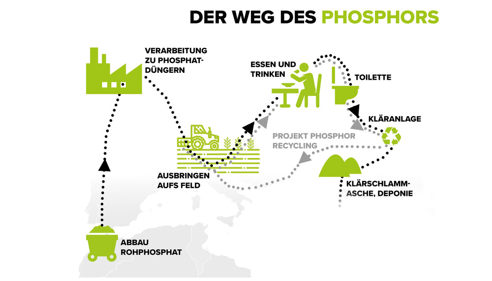 Infografik zum Weg des Phosphors | © Land schafft Leben