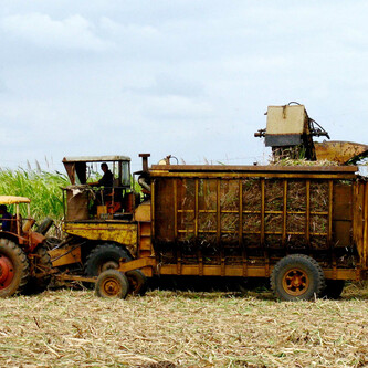 Traktor mit Anhänger voller Zuckerrohr | © Thomas Höflehner