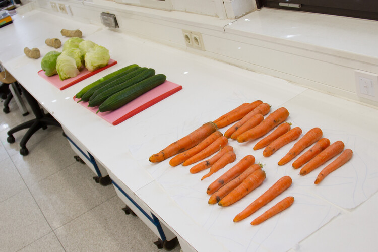Gurken, Karotten, Salat und Kren liegen auf Tisch | © Land schafft Leben