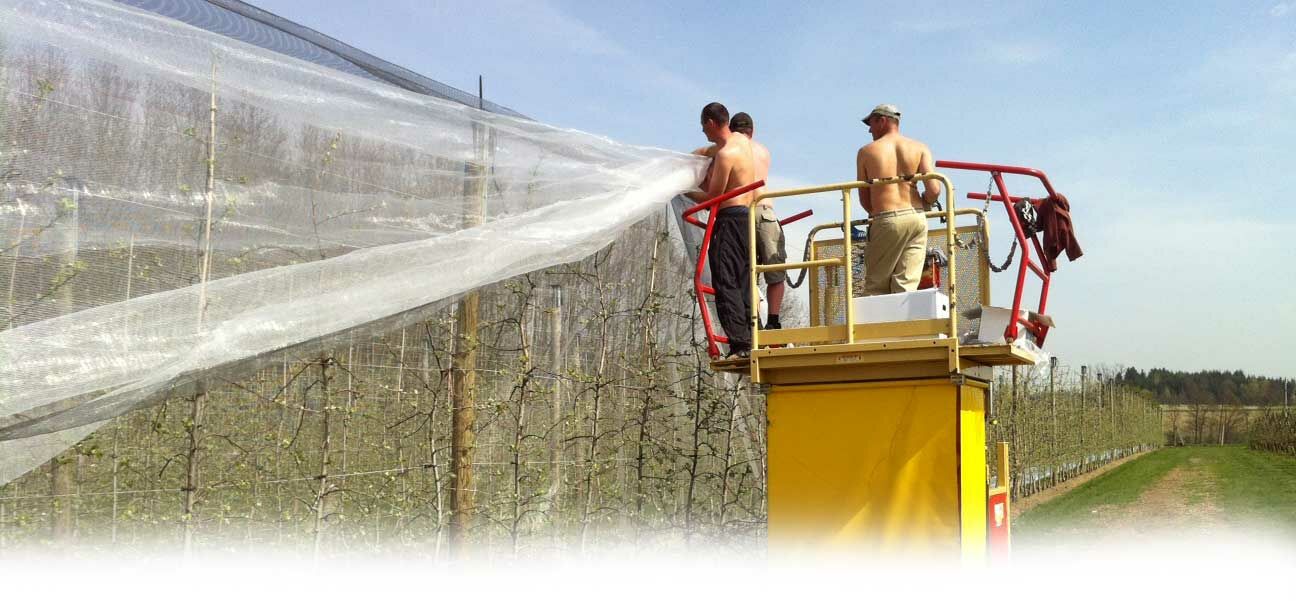 Männer hängen Netz über Apfelbäume | © Land schafft Leben