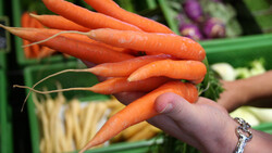 Hand mit Kettchen hält Bündel Bio-Karotten | © Land schafft Leben