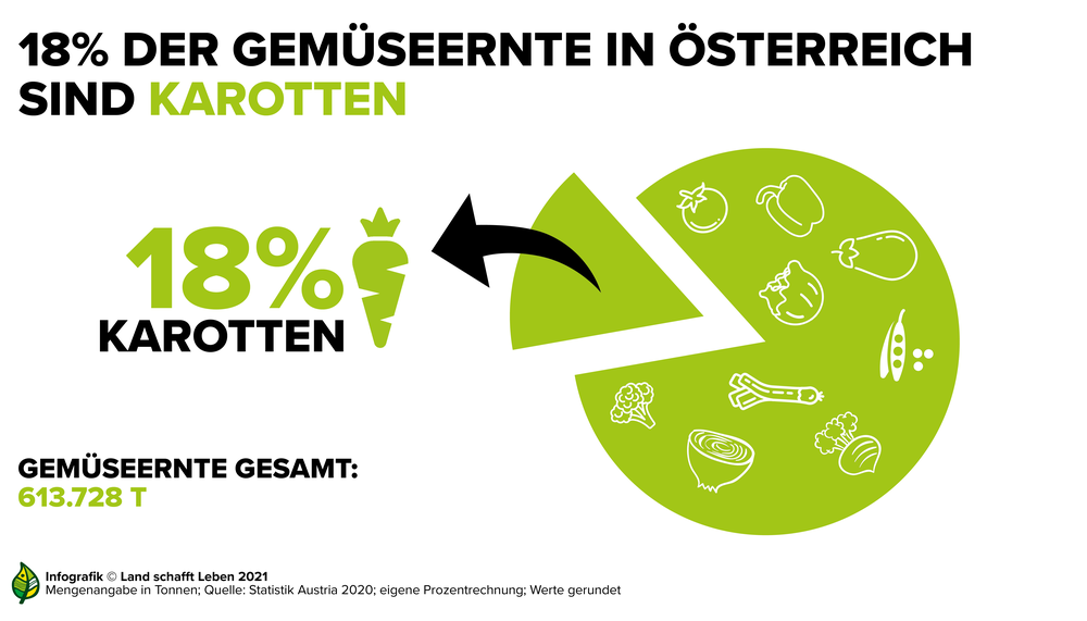 18 Prozent der Gemüseernte in Österreich sind Karotten | © Land schafft Leben, 2021