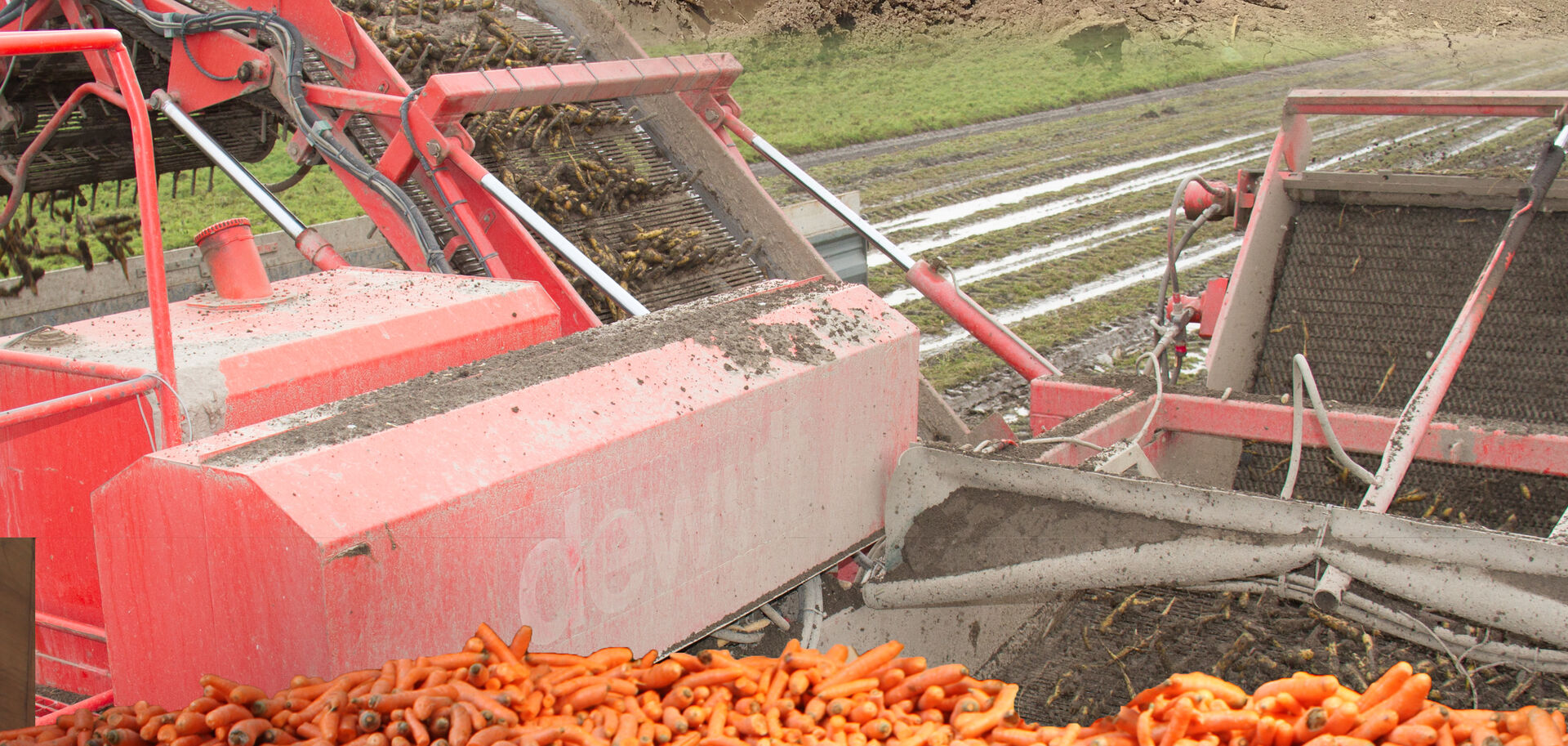 Karotten in landwirtschaftlichem Gerät | © Land schafft Leben