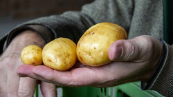 Hand hält drei Kartoffeln | © Land schafft Leben