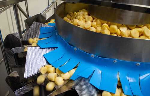 Geschälte Kartoffeln in Maschine | © Land schafft Leben