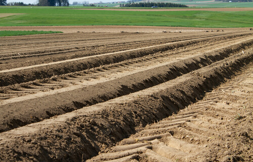 Bearbeiteter Feldboden | © Land schafft Leben