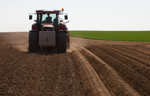 Traktor säht Kartoffeln auf Feld aus | © Land schafft Leben