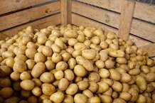 Kiste voller Kartoffeln | © Land schafft Leben