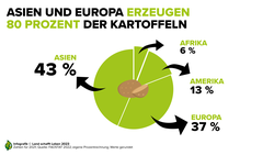 Infografik zu Asien und Europa als größte Kartoffelerzeuger weltweit | © Land schafft Leben