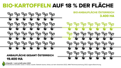 Infografik zu 18 Prozent Bio-Anteil an der Gesamtanbaufläche der Kartoffel in Österreich | © Land schafft Leben