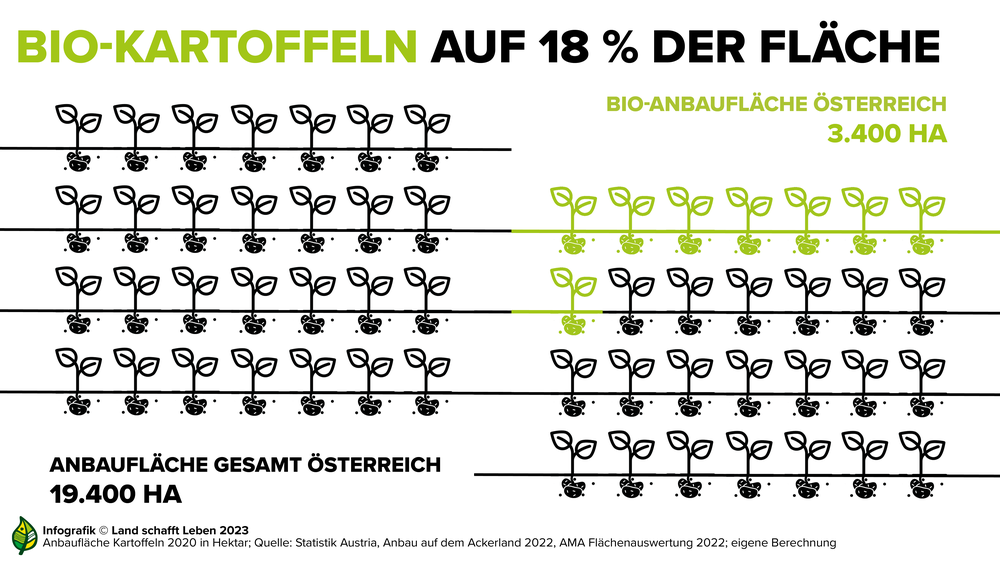 Infografik zu 18 Prozent Bio-Anteil an der Gesamtanbaufläche der Kartoffel in Österreich | © Land schafft Leben
