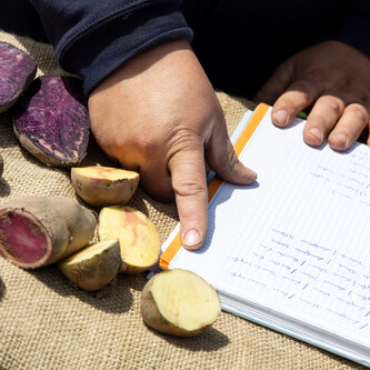 Hand zeigt auf geöffnetes Buch, das neben Kartoffeln liegt | © Land schafft Leben