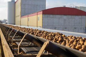 Kartoffeln auf Fließband vor Gebäude | © Land schafft Leben