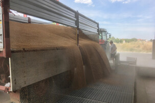 Mehl rinnt aus Traktoranhänger | © Land schafft Leben