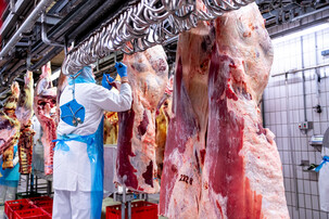 Mehrere Rindfleisch-Stücke an Haken im Schlachtbetrieb | © Land schafft Leben