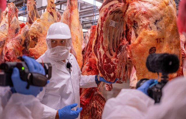 Rinderhälften im Schlachthof mit Schlachtmitarbeiter | © Land schafft Leben