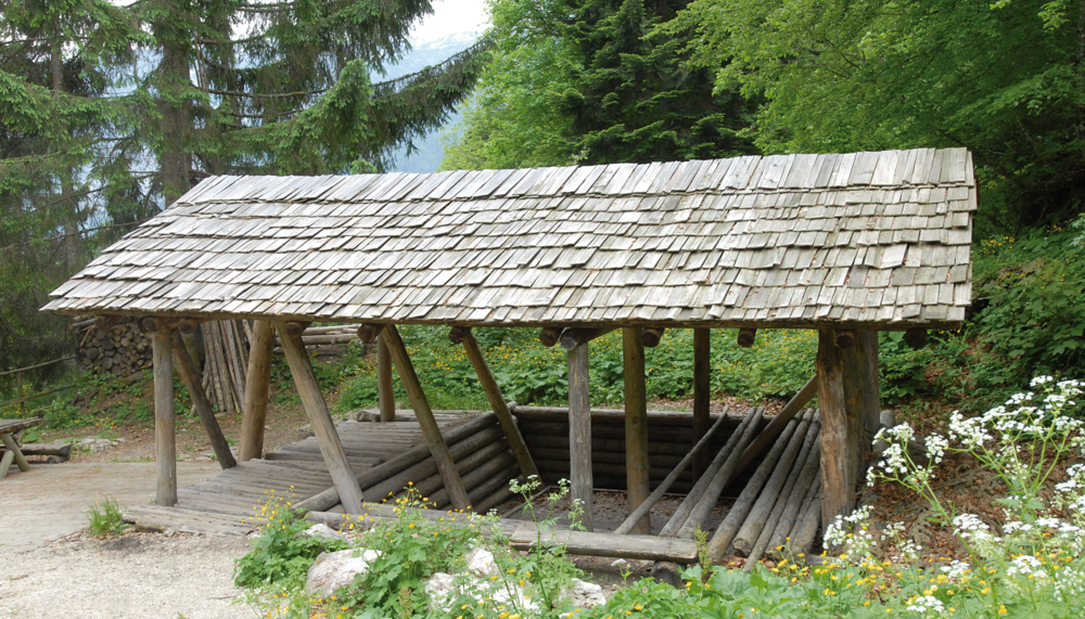 Prähistorisches Surbecken aus Holz in der Natur | © Naturhistorisches Museum Wien 