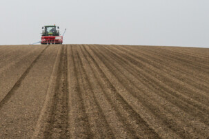 Traktor fährt auf Zuckerrübenfeld | © Land schafft Leben