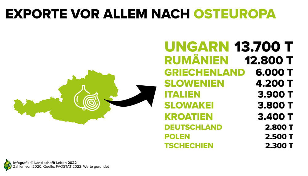 Infografik zu den wichtigsten Zwiebel-Exportländern von Österreich | © Land schafft Leben