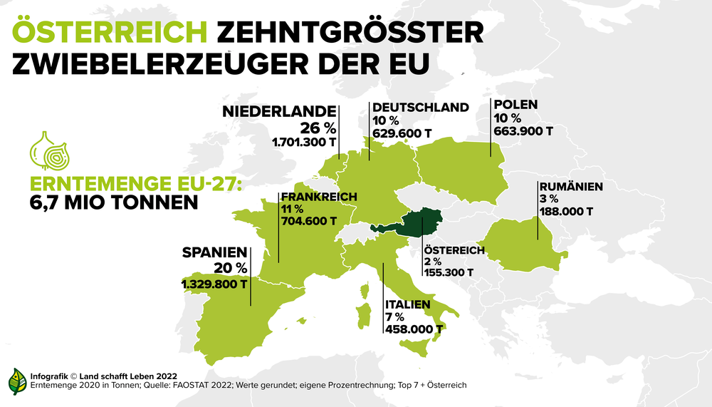 Infografik zu Österreich als zehntgrößten Zwiebelproduzenten der EU | © Land schafft Leben