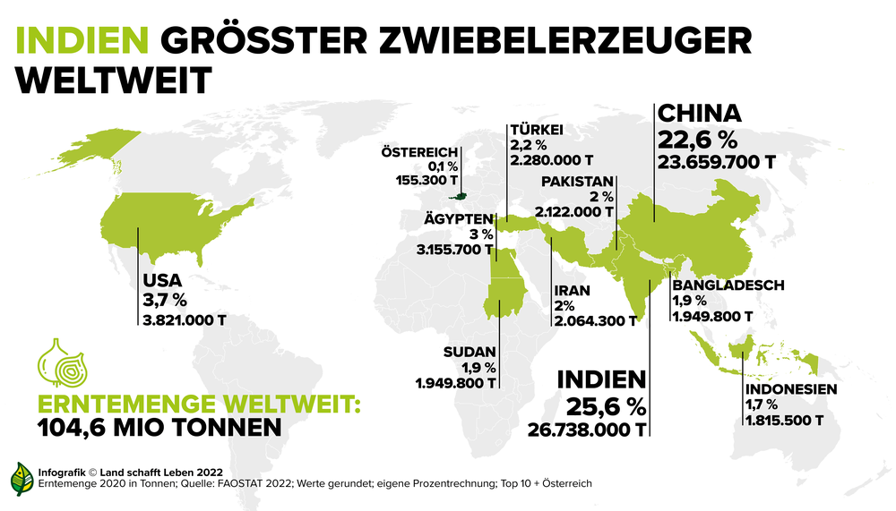 Infografik zu den größten Erzeugern von Zwiebeln weltweit | © Land schafft Leben