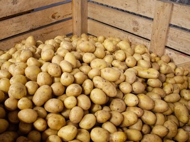 Kartoffeln in Kiste | © Land schafft Leben
